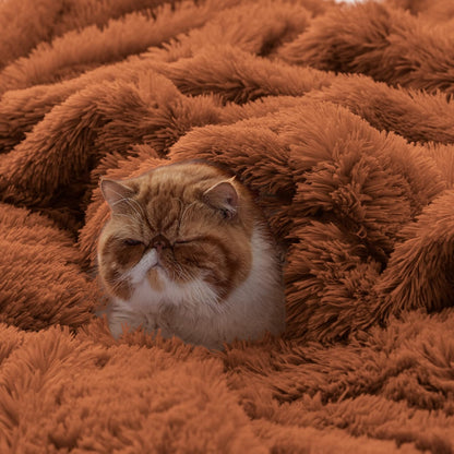 Bedsure GentleSoft Fluffy Fuzzy Faux Fur Throw Blanket for Couch, Soft Sherpa Fleece Cozy Gifts for Women, Plush Bed Blanket Room Decor for Men, Thick Warm Minky Teen Gifts Winter Bedding