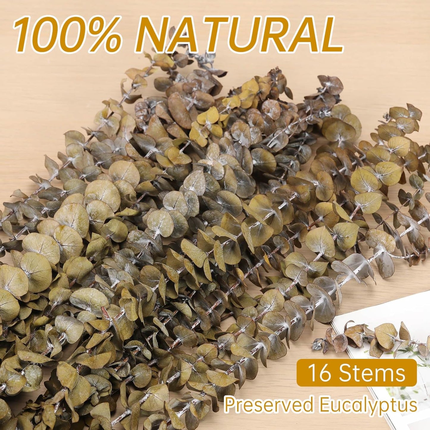Tavkite 16 Pcs Dried Eucalyptus Stems, 17'' Natural Fresh Eucalyptus Leaves Branches Hanging for Shower, Preserved Real Plant Live Greenery for Home SPA Wall Bathroom Wedding Party Vase Decor