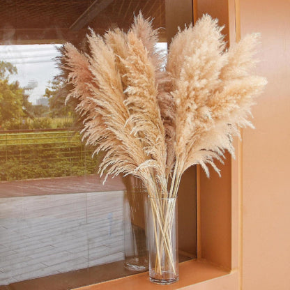 40" inch 10 Stems Natural Pampas Grass Decor Tall, pompas Grass, Tall Pampas Grass for Wedding, Party, Farmhouse, Boho Home Decor