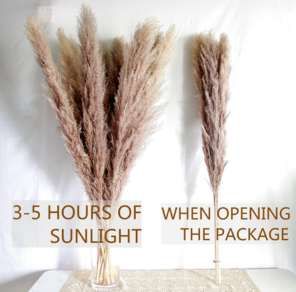 46" inch 10 Stems Natural Pampas Grass Decor Tall, Pompas Grass, Tall Pampas Grass for Weddingm, Farmhouse, Boho Home Decor (Beige)