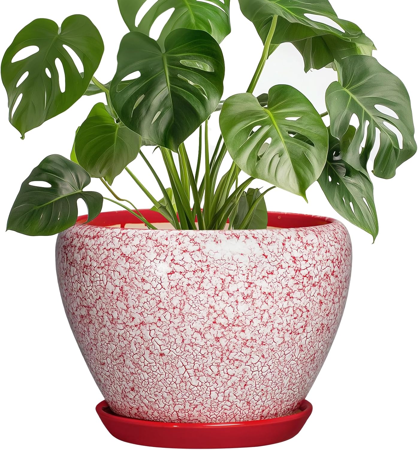 6 Inch Plant Pot - Ceramic Pots for Plants with Drainage Hole and Saucer, Round Succulent Planter Indoor Outdoor, Modern Flower Pot for Snake Plants, Home Decor, Gifts for Plant Lover, Blue