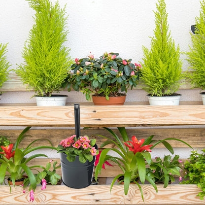 KINGLAKE Flower Pots,10 Pcs Metal Iron Hanging Flower Plant Pots Balcony Garden Plant Planter Baskets Fence Bucket Pot 4'' Flower Holders with Detachable Hook