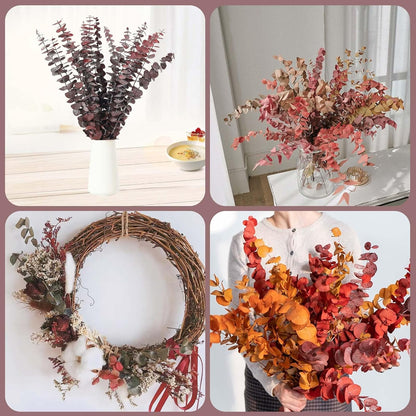Tavkite 16 Pcs Dried Eucalyptus Stems, 17'' Natural Fresh Eucalyptus Leaves Branches Hanging for Shower, Preserved Real Plant Live Greenery for Home SPA Wall Bathroom Wedding Party Vase Decor