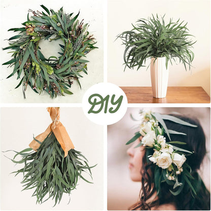Real Eucalyptus Stems 20PCS Dried Preserved Fresh Eucalyptus Silver Dollar Leaves for Shower - Greenery Branches for Wedding Home Party Vase Filler Spring Decor