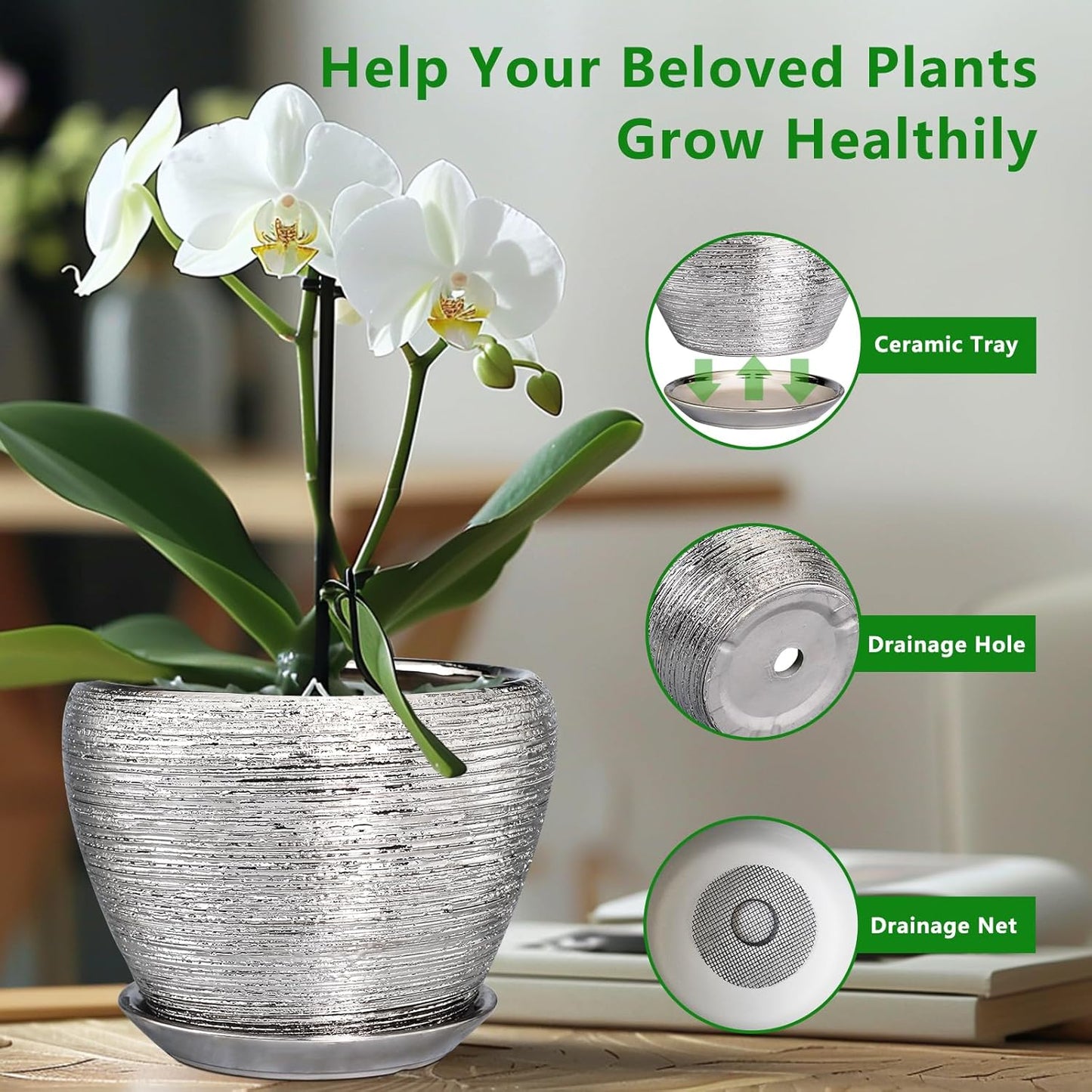 Ceramic Modern Glaze Succulent Planter Pot with Drainage Hole and Saucer 6 Inch Round Flower Plant Pot for Indoor Outdoor Herb Snake Plants