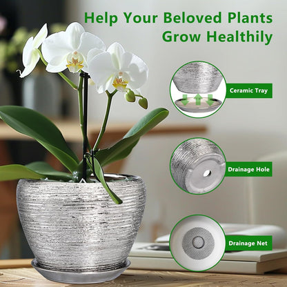 Ceramic Modern Glaze Succulent Planter Pot with Drainage Hole and Saucer 6 Inch Round Flower Plant Pot for Indoor Outdoor Herb Snake Plants