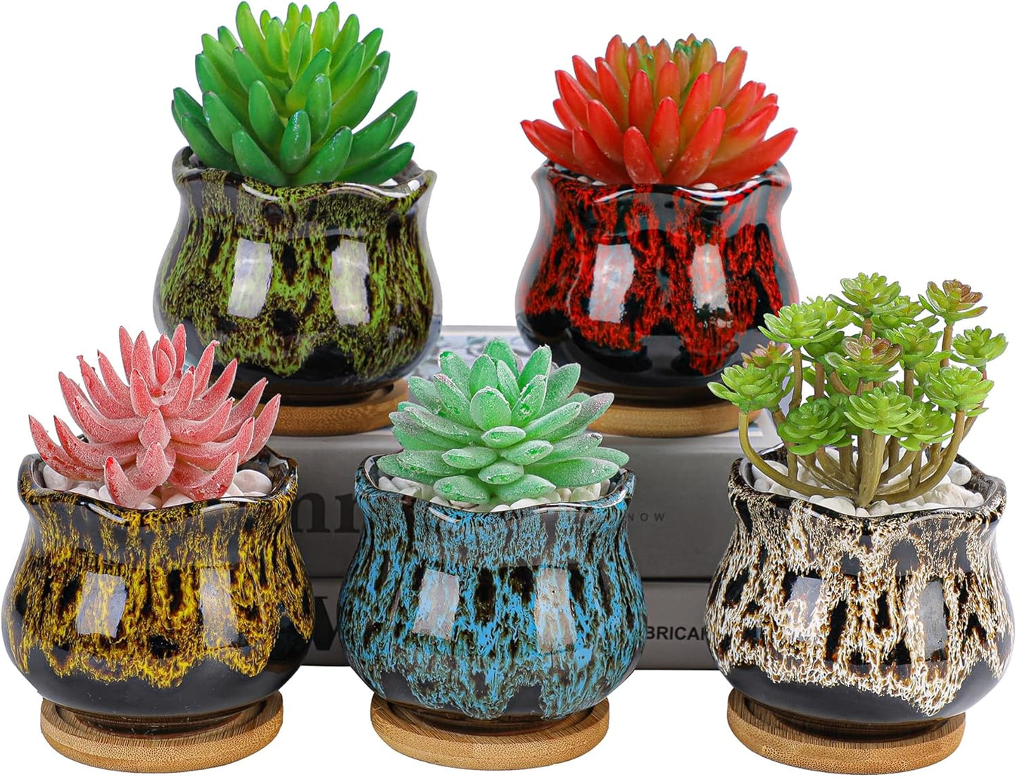 Cute Ceramic Succulent Garden Pots, Planter with Drainage and Attached Saucer, Set of 5 -Plants Not Included (Round)