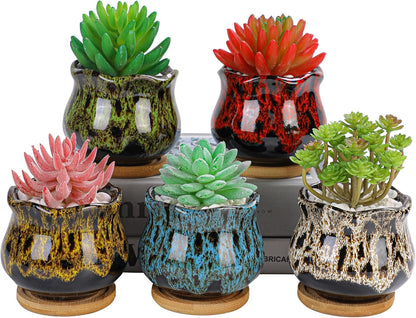 Cute Ceramic Succulent Garden Pots, Planter with Drainage and Attached Saucer, Set of 5 -Plants Not Included (Round)