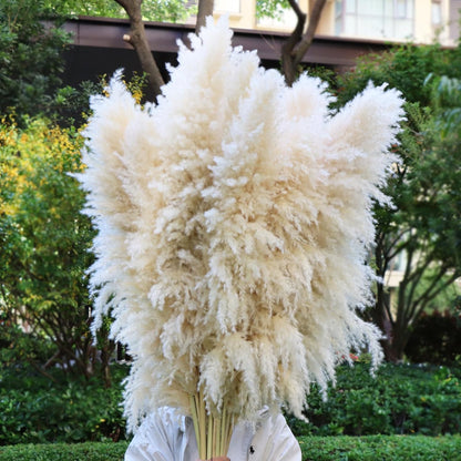 Pasuvsigt 12pcs 40'' Dried Pampas Grass Decor - Tall-Large Pampas Grass - Natural Beige - Boho Home Decor