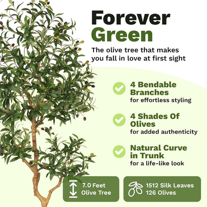 Fake Olive Tree 6.0 Feet – Artificial Plants Indoor, Faux Olive Tree, Fake Tree for Home Decor, Faux Trees Indoor for Living Room, Office, Bedroom – Tall Artificial Trees for Home, Designer Tree