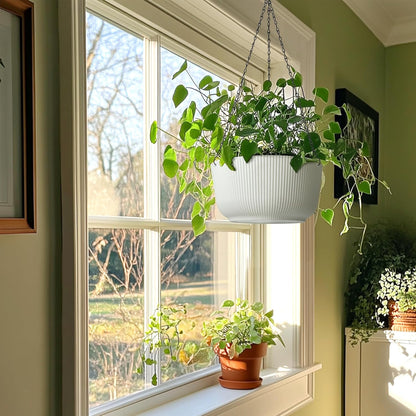 T4U 10 Inch Hanging Planters for Indoor Plants, 2 Pack White Self Watering Hanging Plant Pot, Hanging Pots Set with Drainage Hole & Plug & Chain with 3 Hooks for Garden Home Decor