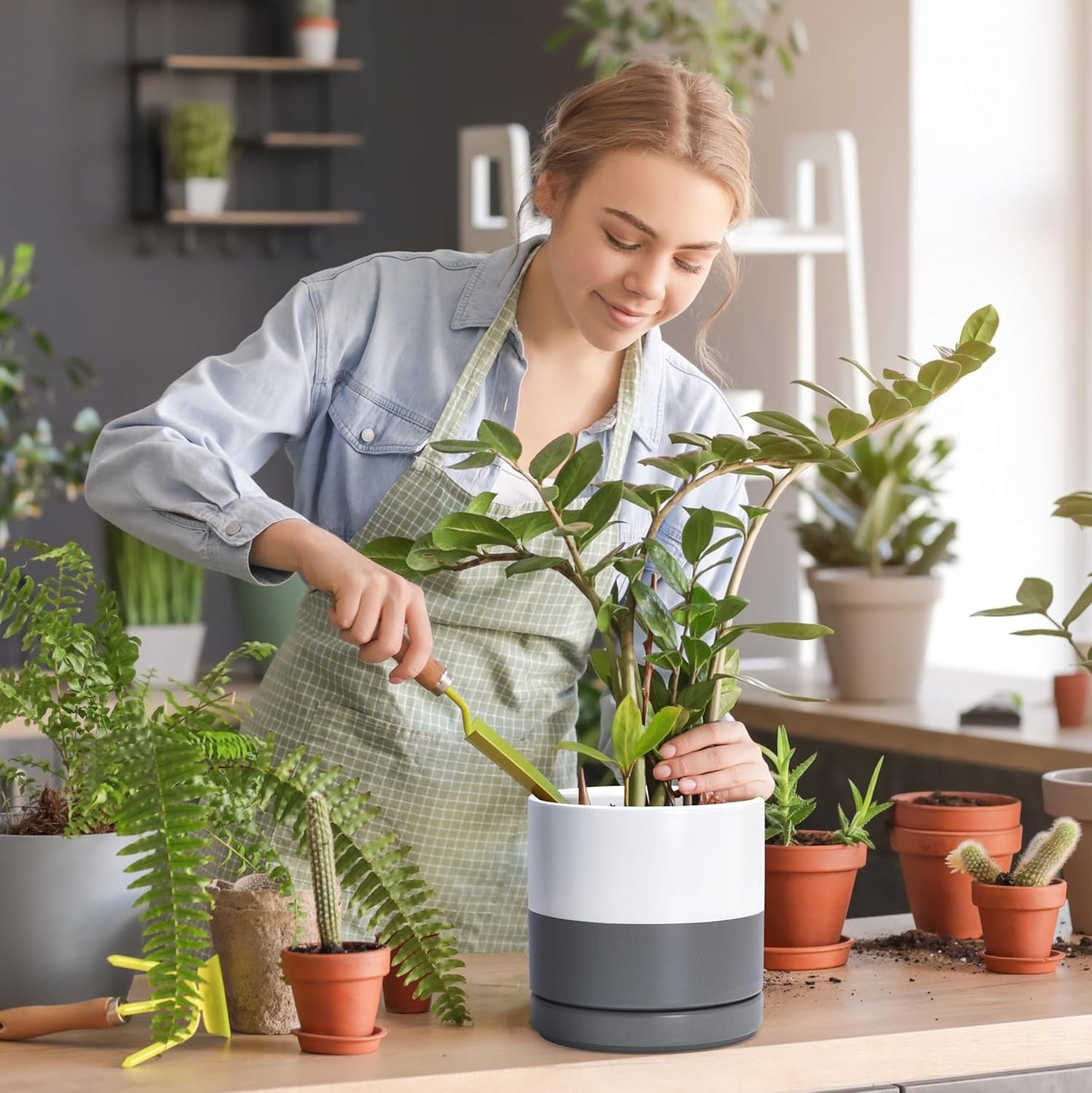 D'vine Dev Set of 2 Plants Pots, 6.5 Inch Ceramic Planter Pot for Plants with Drainage Hole and Saucer, White, 94-V-C-1