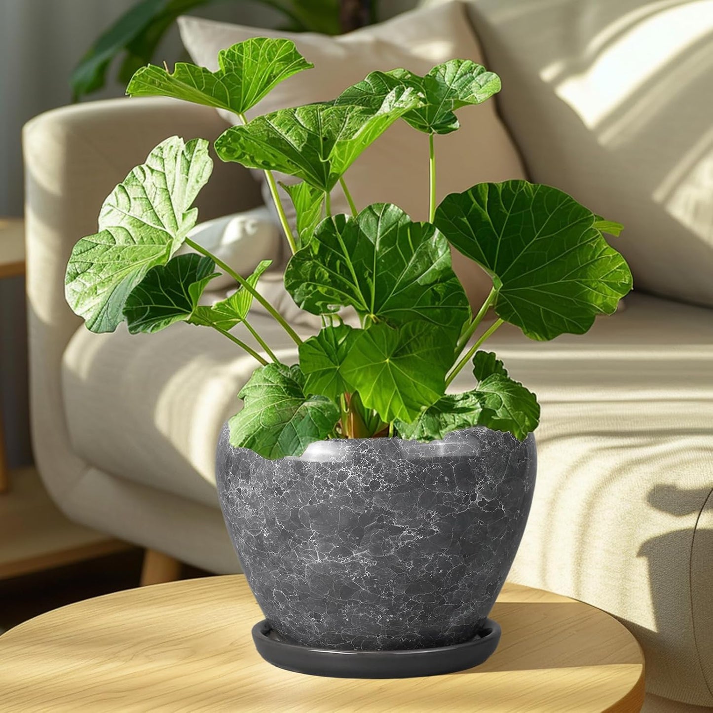 Ceramic Modern Glaze Succulent Planter Pot with Drainage Hole and Saucer 6 Inch Round Flower Plant Pot for Indoor Outdoor Herb Snake Plants