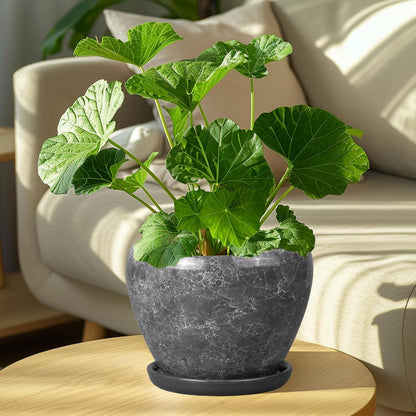Ceramic Modern Glaze Succulent Planter Pot with Drainage Hole and Saucer 6 Inch Round Flower Plant Pot for Indoor Outdoor Herb Snake Plants