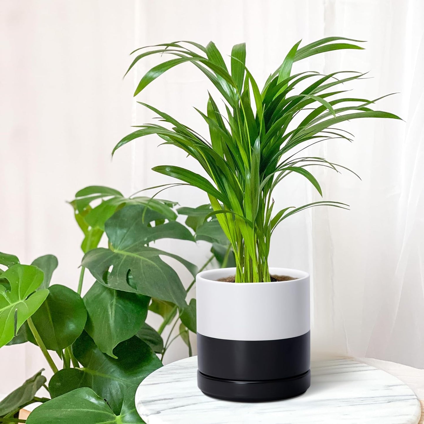D'vine Dev 6.5 Inch Ceramic Planter Pot with Drainage Hole and Saucer, Indoor Cylinder Round Planter Pot, Olive, 94-O-C-J