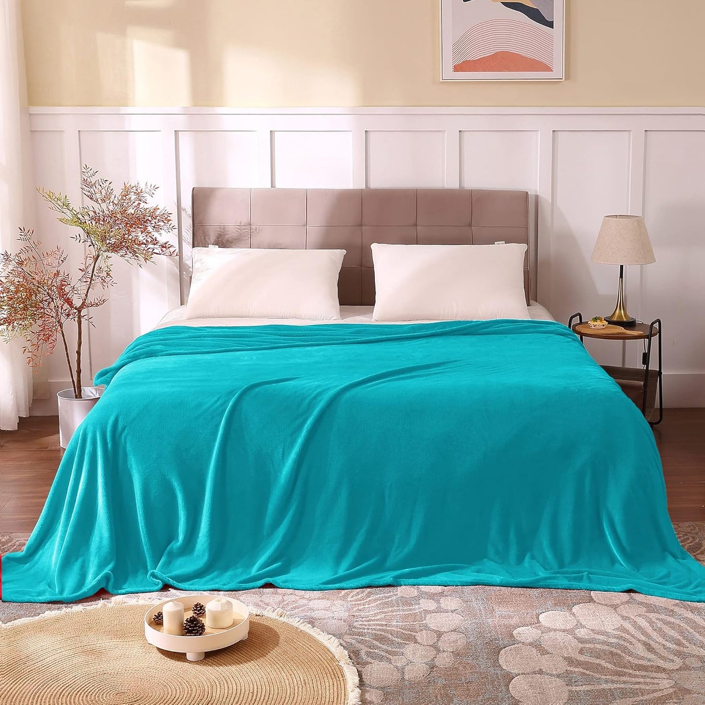 BEDELITE Fleece Blanket Black Throw Blankets for Couch & Bed, Luxury Plush Cozy Fuzzy Blanket 50x60 inches, Super Soft Warm Lightweight Throw Blanket for Travel Camping - Colors A