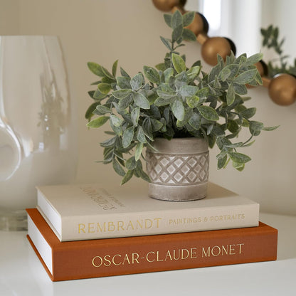 ZICOTO Set of 2 Beautiful Decorative Linen Books - Aesthetic Faux/Fake Books for Modern Home Decoration on Coffee Table, Bookshelf or Mantel - Stylish Keepsake Box and Photo Storage Solution