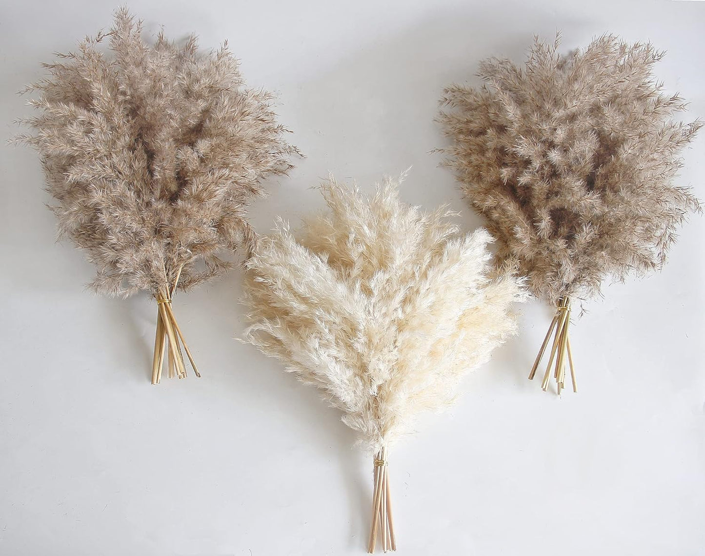 60 PCS Boho Decor, Fluffy Pompas Grass, Natural Dry Pampas Grass Small, Short Pampass Bulk for Boho Room Decor, Coffee Table Decor (17 inch )