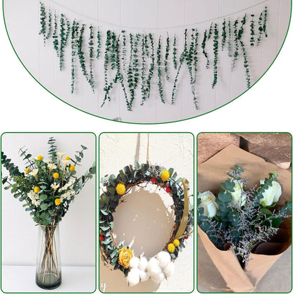 30Pcs Dried Eucalyptus Stems, 17" Real Preserved Eucalyptus Plant for Shower, Fresh Natural Branches for Vase, Eucalyptus Bundle for Home Decor, Wedding, Baby Shower, Bathroom