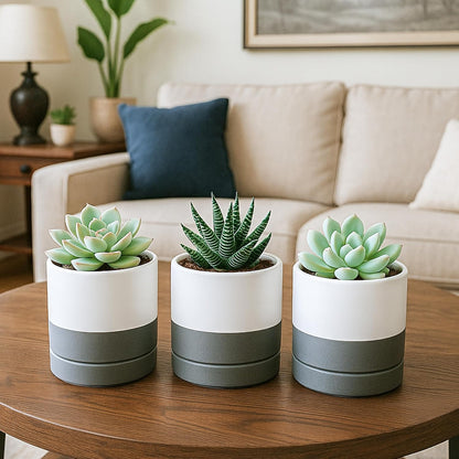 D'vine Dev 6.5 Inch Ceramic Planter Pot with Drainage Hole and Saucer, Indoor Cylinder Round Planter Pot, Olive, 94-O-C-J