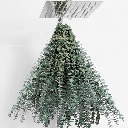 10 Pcs Dried Eucalyptus Stems 17" Real Eucalyptus for Shower Hanging 100% Made from Fresh Leaves, Wedding, Home, Farmhouse, DIY Spring Decor Bathroom Decor Home Decor