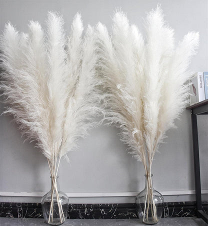 46" inch 10 Stems Natural Pampas Grass Decor Tall, Pompas Grass, Tall Pampas Grass for Weddingm, Farmhouse, Boho Home Decor (Beige)