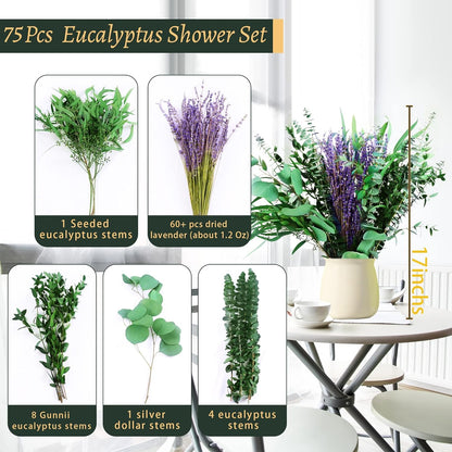 30 Pcs Dried Preserved Eucalyptus Stems Shower Bundle, 9oz 17" 100% Natural Fresh Eucalyptus Plant, Real Eucalyptus Leaves Branches for Shower Vase Filler, Dried Flowers Arrangement Home Decor