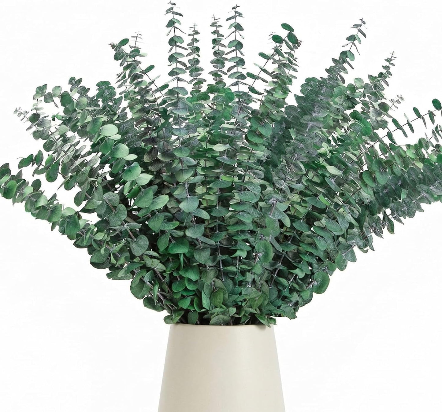 50 Pcs Preserved Eucalyptus Stems, 17 Inch Real Dried Eucalyptus Branches for Shower, Vase Arrangements, Home Decor, Wedding, Bathroom