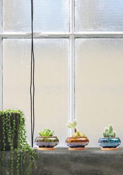 Cute Ceramic Succulent Garden Pots, Planter with Drainage and Attached Saucer, Set of 5 -Plants Not Included (Round)