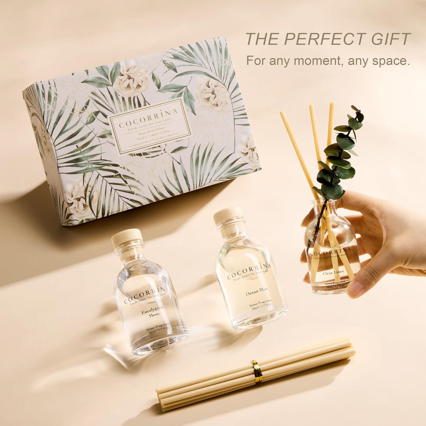 COCORRÍNA Eucalyptus Reed Diffuser Set of 3 - Lavender Eucalyptus, Black Forest, Clean Cotton Scents, 1.7 fl oz Each, Total 5.1 oz, Scented Oil Diffusers for Home & Office﻿