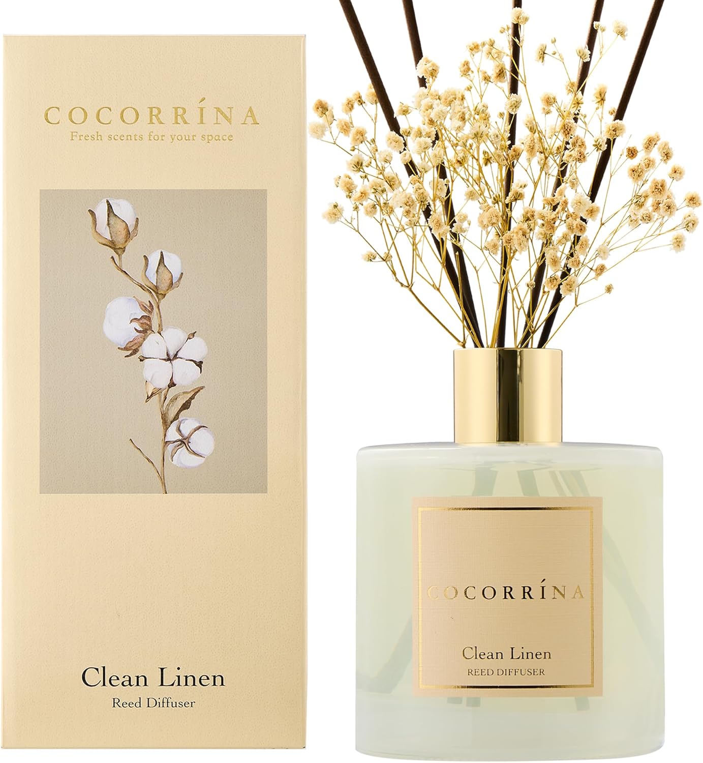Cocorrína Premium Reed Diffuser Set with Preserved Baby's Breath & Cotton Stick Sandalwood Rose | 6.7oz Scent Fragrance Oil Diffuser for Bedroom Bathroom Home Décor