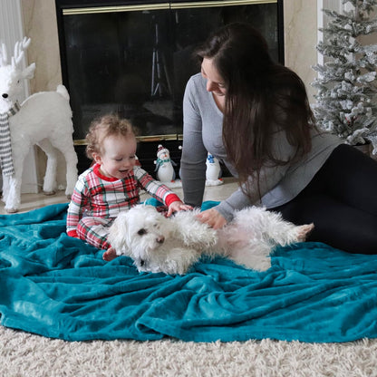 Bedsure GentleSoft Fleece Throw Blanket for Couch Grey - Lightweight Plush Fuzzy Cozy Soft Blankets and Throws for Sofa, Couch, Travel, Camping, 50x60 inches - Colors A