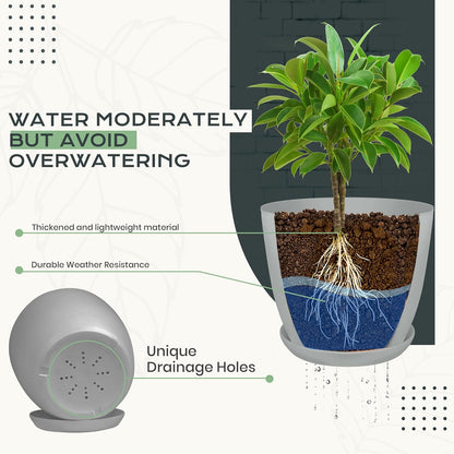 Utopia Home Plant Pots Indoor with Drainage Holes – Set of 5 White Plastic Flower Pots (7/6.6/6/5.3/4.8 Inch) – Modern Planters for Indoor Plants, Room & Office Décor, Great Stocking Stuffers