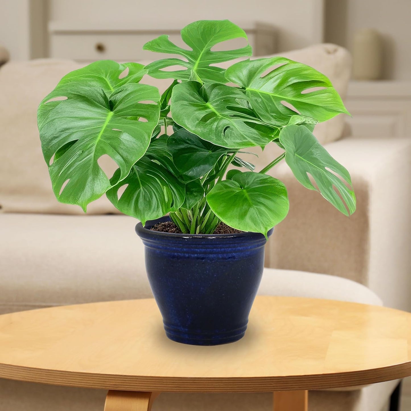 Sunnydaze Large Ceramic Plant Pot - Round Outdoor Glazed Ceramic Planter Pot with Drainage - Studio - Imperial Blue - 18.5"