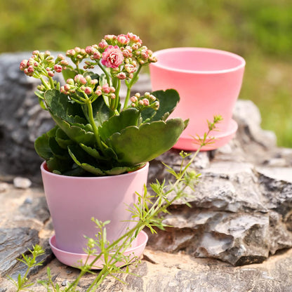 TDHDIKE 10 Pcs Plastic Planters Indoor Pots, Mini Flower Seedlings Nursery Flower Pot with Pallet, Modern Decorative Gardening Containers