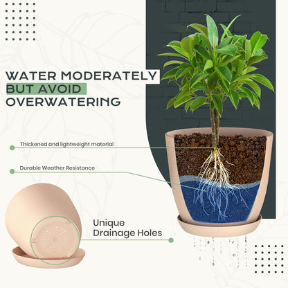 Utopia Home Plant Pots Indoor with Drainage Holes – Set of 5 White Plastic Flower Pots (7/6.6/6/5.3/4.8 Inch) – Modern Planters for Indoor Plants, Room & Office Décor, Great Stocking Stuffers