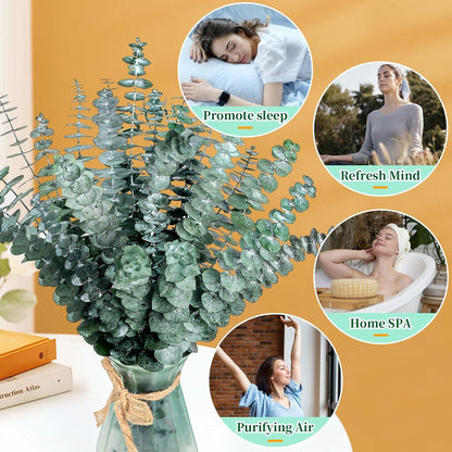 Eslibin 21 Pcs Real Dried Eucalyptus Stems, 17" Natural Fresh Eucalyptus Branches for Shower, Greenery Leaves for Vase Filler, Fragrance, Fresh Silk Dry Live Plants Decor