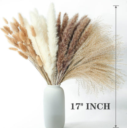 65PCS Pampas Grass Decor, Including pompas Floral, Reed Dried Grass and Bunny Tails Dried Flowers, Natural Dried Pampas Grass Bouquet for Boho Decor Wedding, Home Decoration