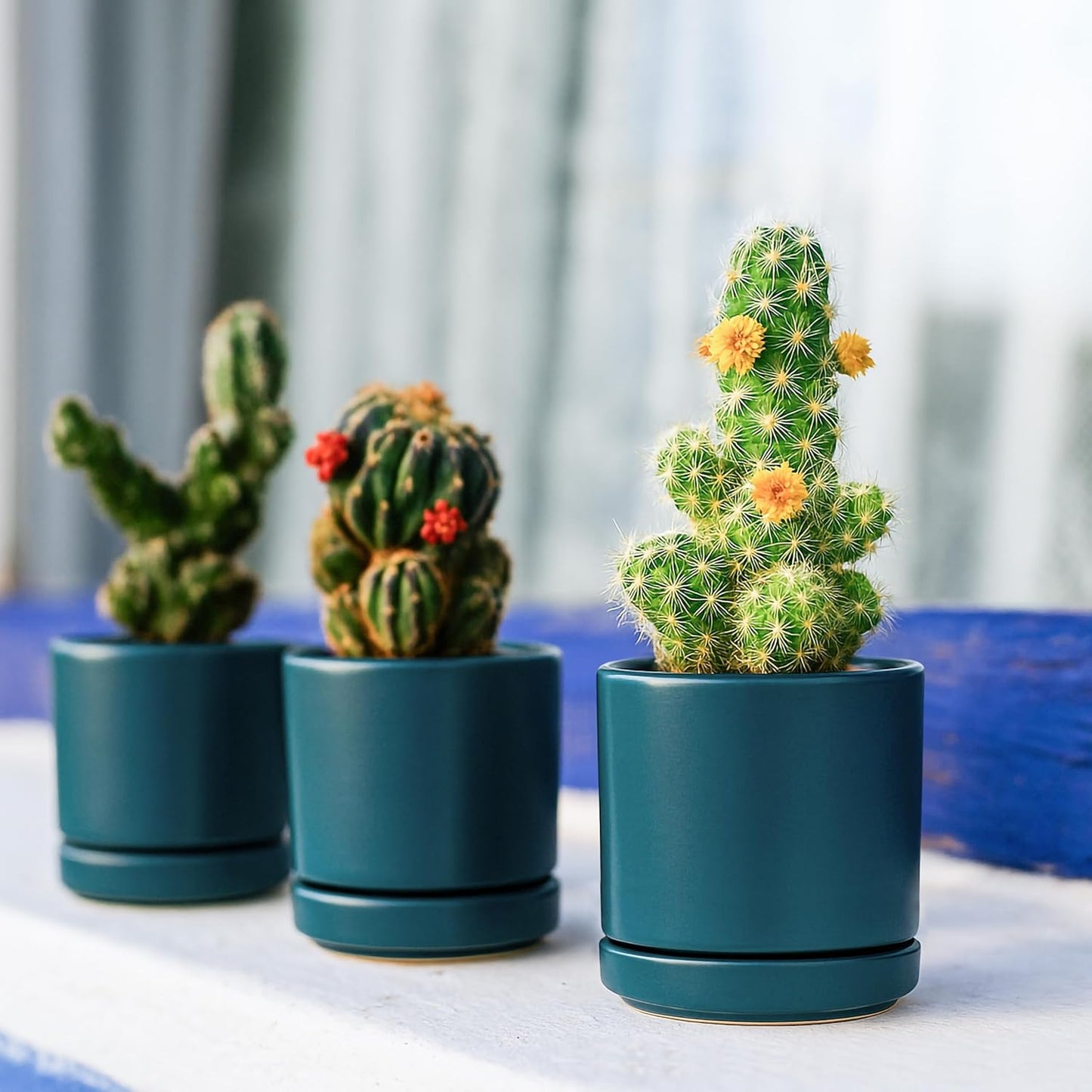 D'vine Dev Set of 2 Plants Pots, 6.5 Inch Ceramic Planter Pot for Plants with Drainage Hole and Saucer, White, 94-V-C-1