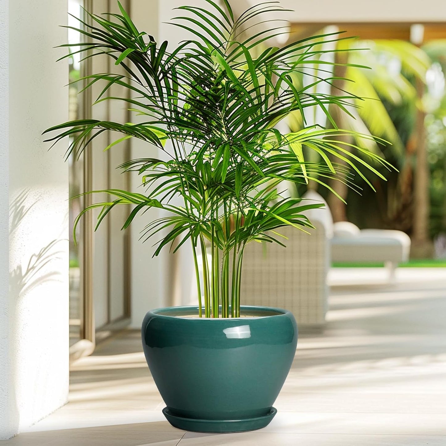 Ceramic Modern Glaze Succulent Planter Pot with Drainage Hole and Saucer 6 Inch Round Flower Plant Pot for Indoor Outdoor Herb Snake Plants
