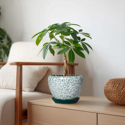 6 Inch Plant Pot - Ceramic Pots for Plants with Drainage Hole and Saucer, Round Succulent Planter Indoor Outdoor, Modern Flower Pot for Snake Plants, Home Decor, Gifts for Plant Lover, Blue