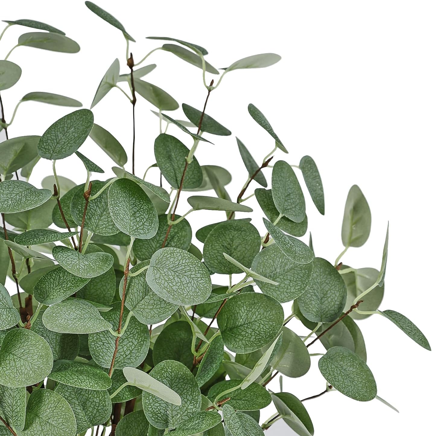 Bessol Artificial Eucalyptus Stems 24'' 5Pcs Fake Plants Greenery for Vase, Faux Eucalyptus Stems for Home Decor, Bathroom, Office, Coffee Table & Farmhouse Centerpiece Decorations