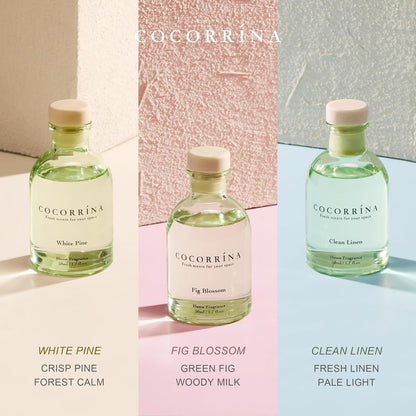 COCORRÍNA Eucalyptus Reed Diffuser Set of 3 - Lavender Eucalyptus, Black Forest, Clean Cotton Scents, 1.7 fl oz Each, Total 5.1 oz, Scented Oil Diffusers for Home & Office﻿