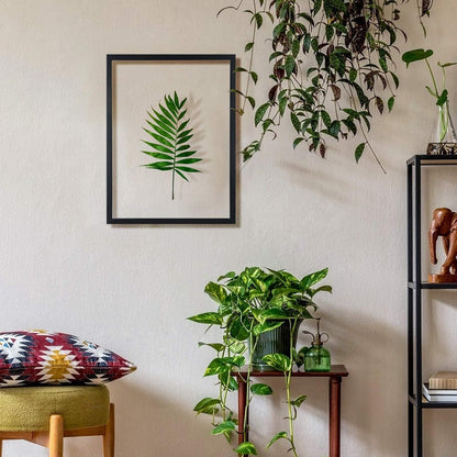 ONE WALL 11x14 Inch Floating Frame, Black Wood Double Glass Float Picture Frame Display 11x14/8x10/5x7 Inch Photos or Plant or Petal Specimens for Wall and Tabletop - Mounting Accessories Included