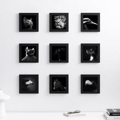 eletecpro 12x12 Picture Frames Set of 9 with Clear Acrylic Cover, Display 8x8 Photos with Mat or 12x12 Without, Classic and Sturdy Square Collage Gallery Wall Decor, Easy Wall Mount, Black