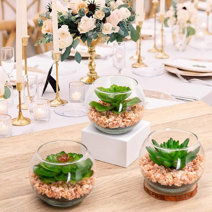 Briful Mini Fake Plants 4 Packs Succuletns Artificial Potted Plants in Cube Glass Vase Faux Succulents for Bathroom Living Room Kitchen Shelf Table Decor