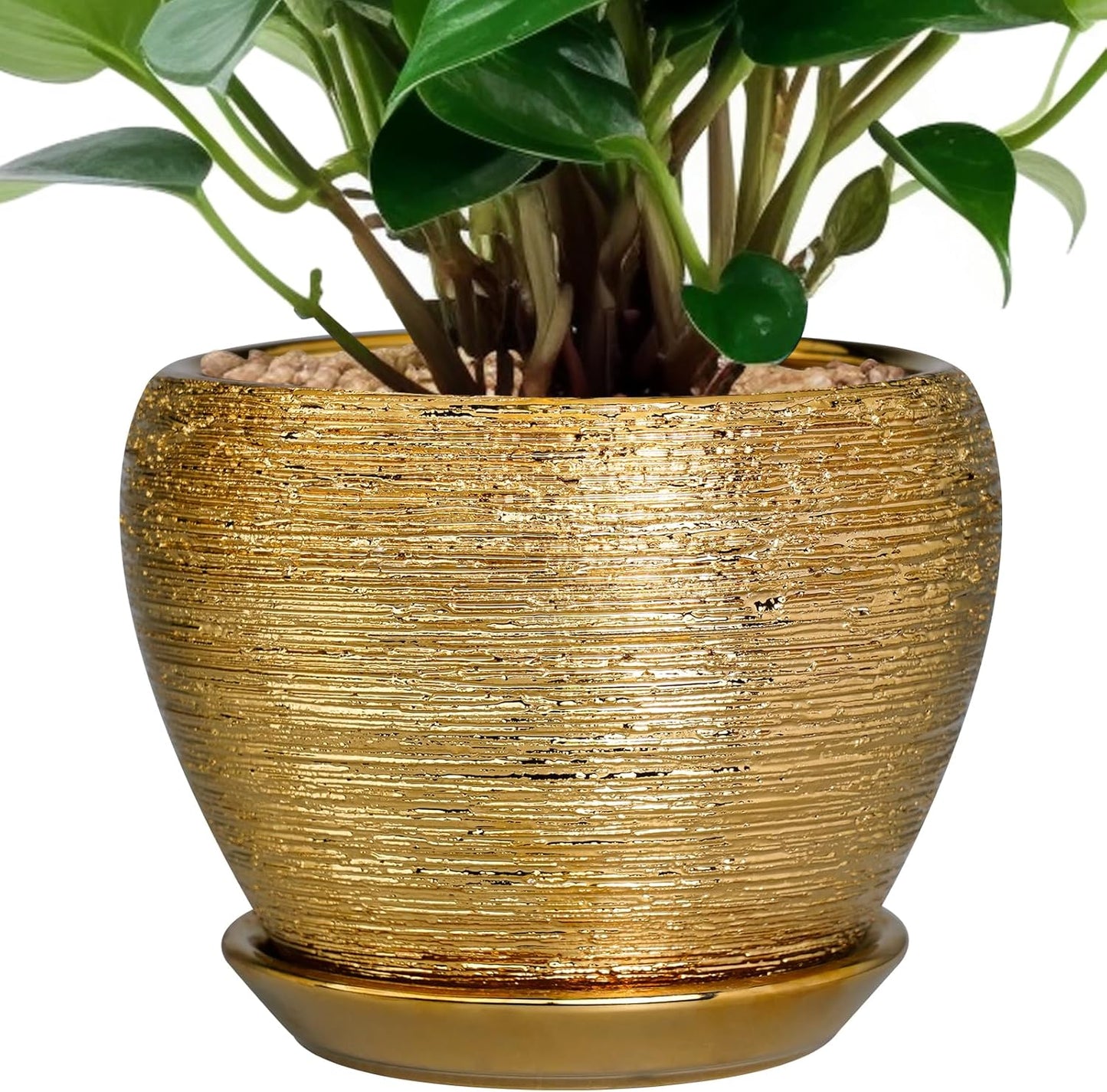 Ceramic Modern Glaze Succulent Planter Pot with Drainage Hole and Saucer 6 Inch Round Flower Plant Pot for Indoor Outdoor Herb Snake Plants