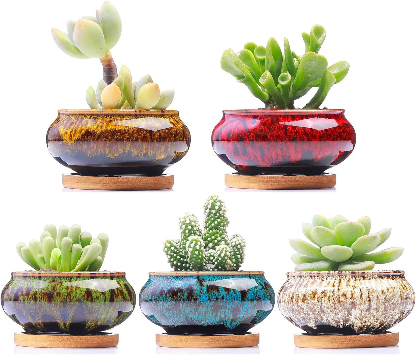 Cute Ceramic Succulent Garden Pots, Planter with Drainage and Attached Saucer, Set of 5 -Plants Not Included (Round)