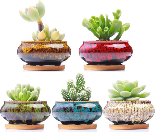 Cute Ceramic Succulent Garden Pots, Planter with Drainage and Attached Saucer, Set of 5 -Plants Not Included (Round)
