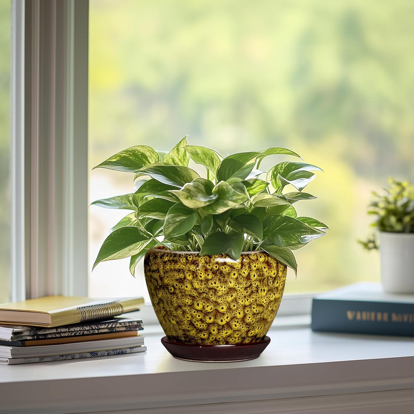 6 Inch Plant Pot - Ceramic Pots for Plants with Drainage Hole and Saucer, Round Succulent Planter Indoor Outdoor, Modern Flower Pot for Snake Plants, Home Decor, Gifts for Plant Lover, Blue